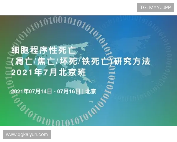 2025年最新白菜网排行榜：最受欢迎的网站推荐
